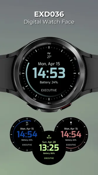 EXD036: Digital Watch Face screenshot 1