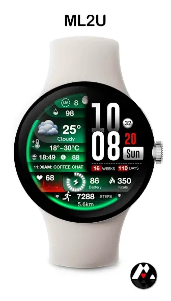 ML2U 239 Watch Face screenshot 14