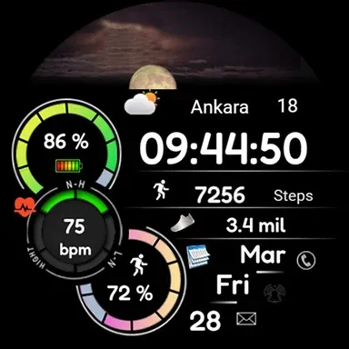 Animated FSW284 Digital screenshot 21
