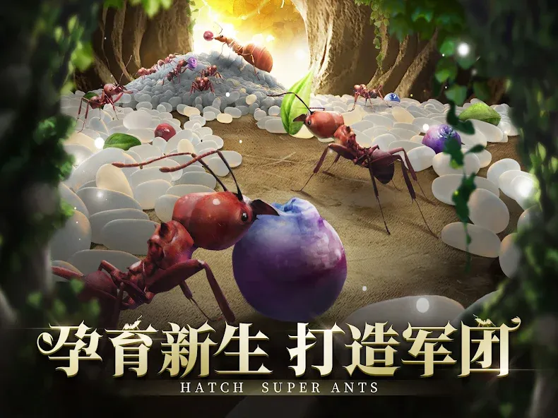 小小蚁国 screenshot 17