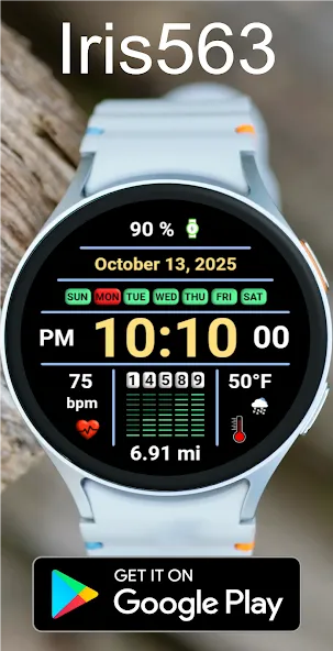 Iris563 Multi-Function Digital screenshot 23