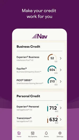 Nav Business Financial Health screenshot 6