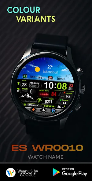 ES WR0010 screenshot 2