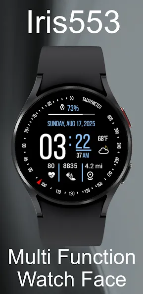 Iris553 Multi-Function Digital screenshot 3