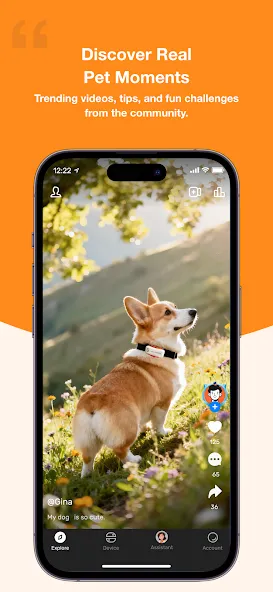 DBDD: Pet Tracker & Assistant screenshot 6