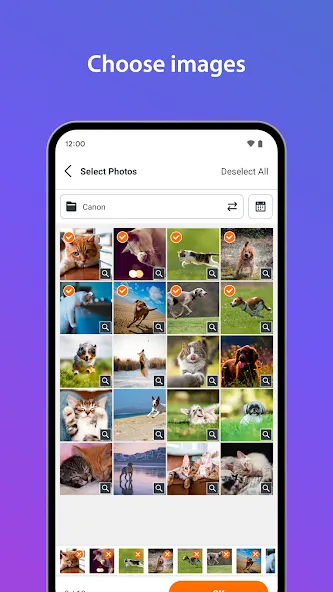 SELPHY Photo Layout screenshot 3