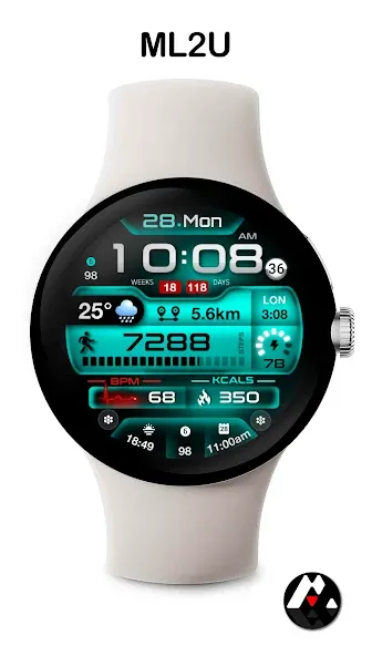 ML2U 247 Watch Face screenshot 3