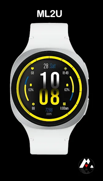 ML2U 399 Digital Hybrid screenshot 6