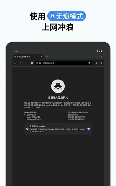 Google Chrome 浏览器 screenshot 14