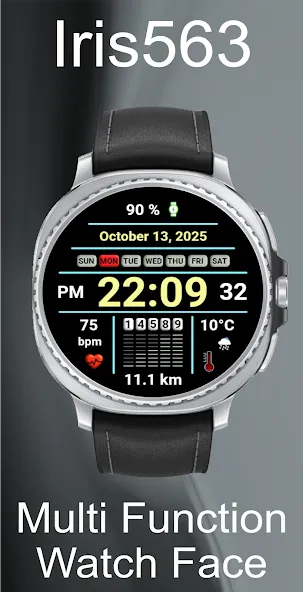 Iris563 Multi-Function Digital screenshot 21