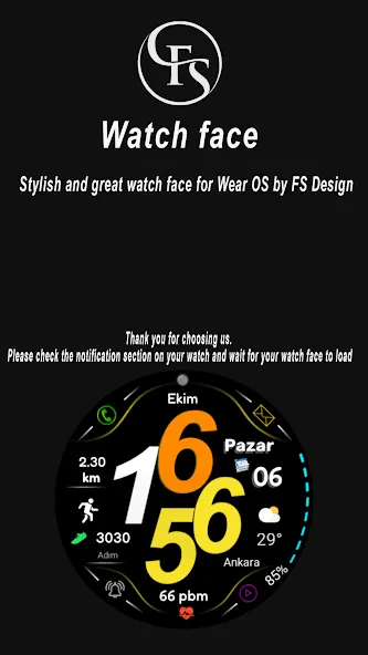 FSW270 Digital Watchface screenshot 8