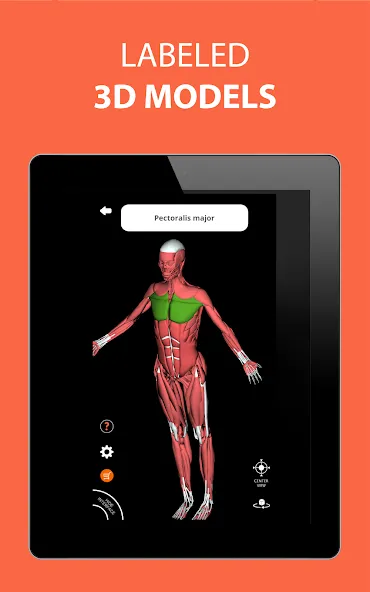 Medical Terminology Learning Q screenshot 16