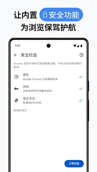 Google Chrome 浏览器 screenshot 7