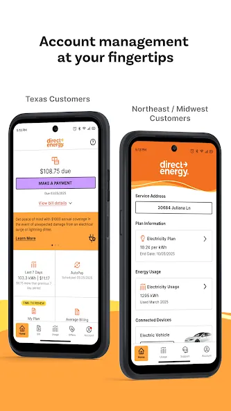 Direct Energy Account Manager screenshot 1