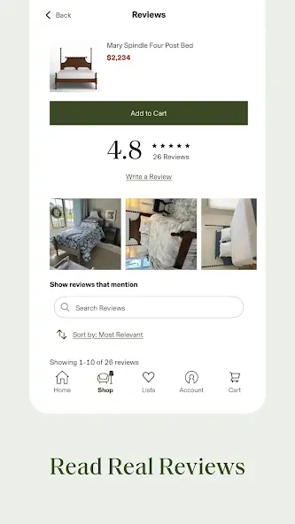 Birch Lane screenshot 5