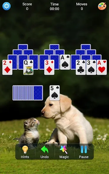 Solitaire Collection screenshot 16