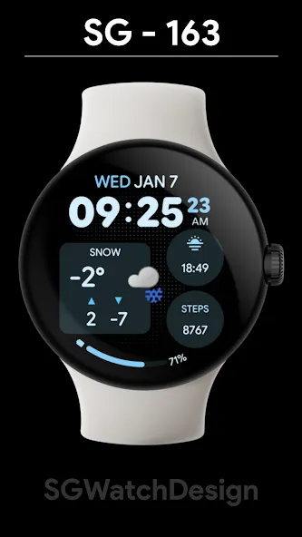 SG-163 screenshot 1