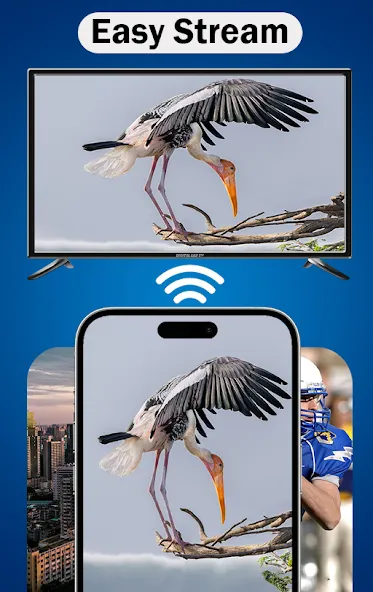 MirrorLink App for Car screenshot 2