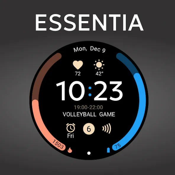Essentia Watchface screenshot 16