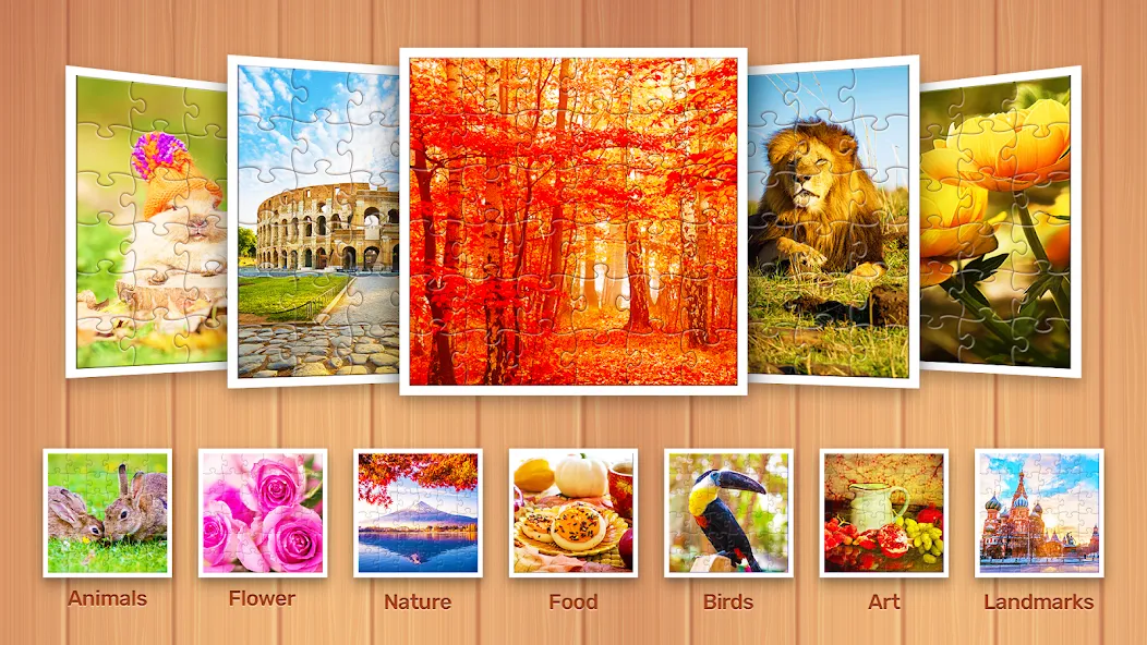 Entdecker der Puzzlespiele screenshot 7