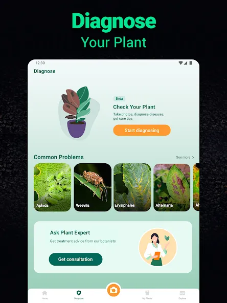 Plantum - Plant Identifier screenshot 15