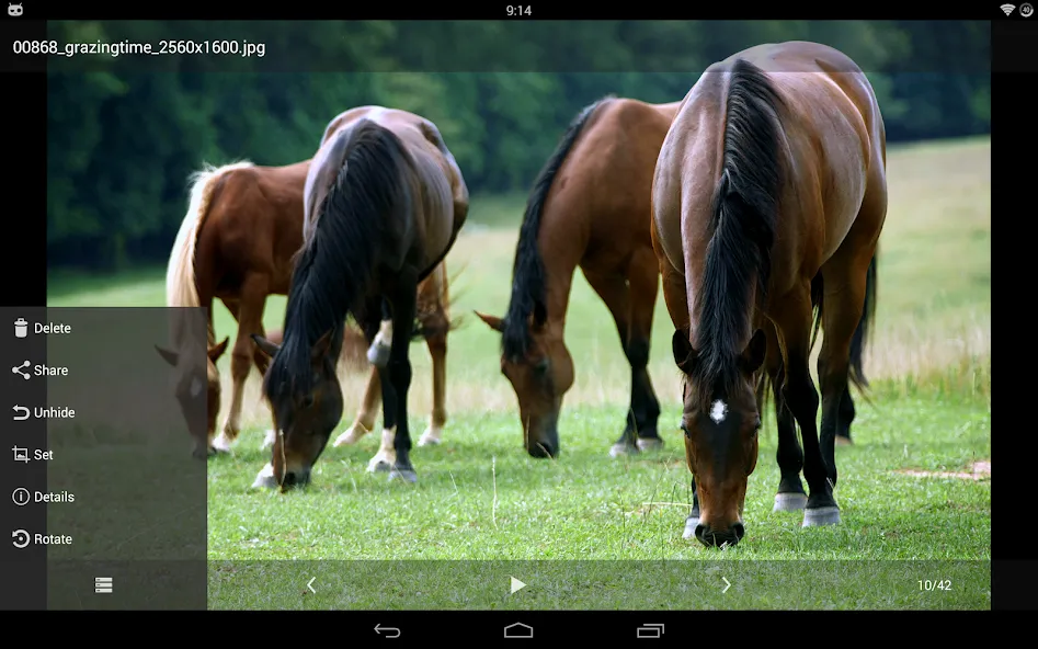 Hide Photos, Video and App Loc screenshot 9