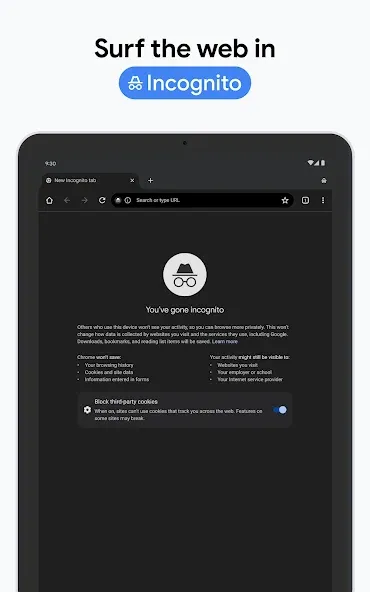 Chrome Beta screenshot 22