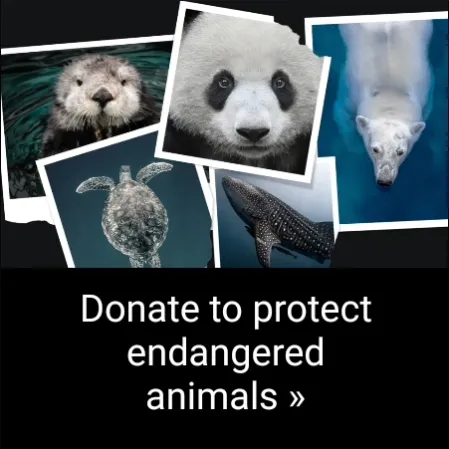 Samsung Global Goals screenshot 20