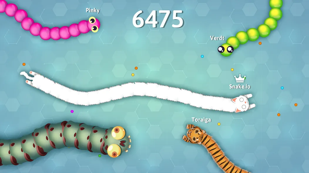 Snake.io Jogos .io da Cobra.io screenshot 5