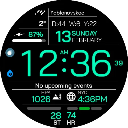 Chester Inform watch face screenshot 21