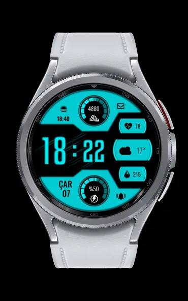 CNRwatch009 screenshot 3