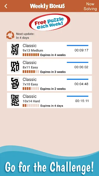 Nurikabe: Islands & Walls screenshot 5