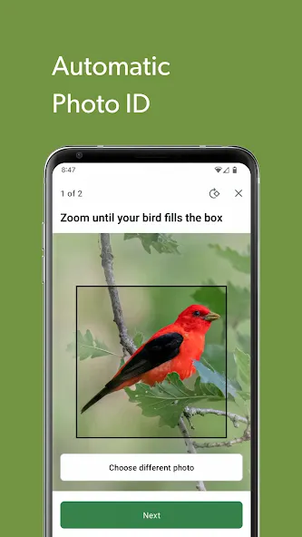 Merlin Bird ID by Cornell Lab screenshot 6