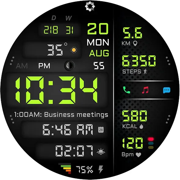 A445 Digital Health Face screenshot 28