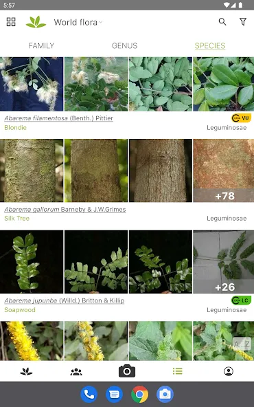 PlantNet Plant Identification screenshot 7