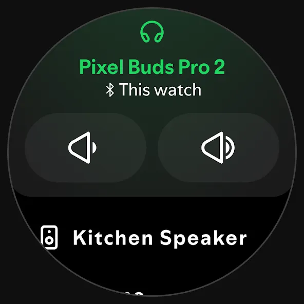 Spotify: Music and Podcasts screenshot 32