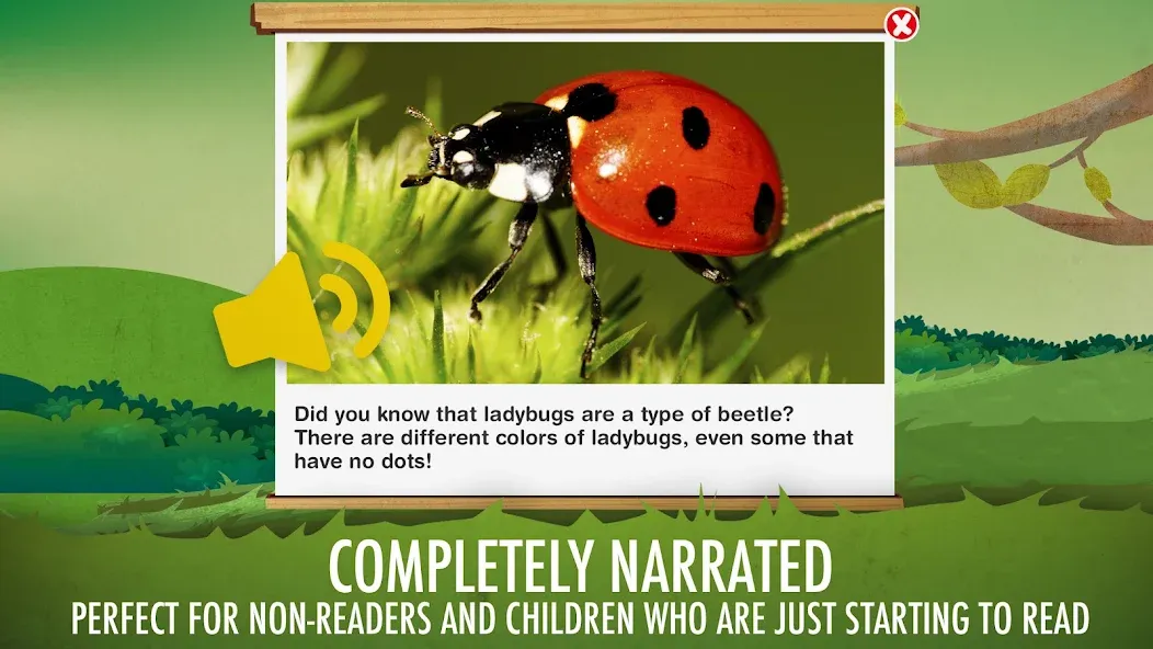 The Bugs I: Insects? screenshot 6