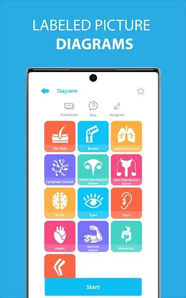 Medical Terminology Learning Q screenshot 6