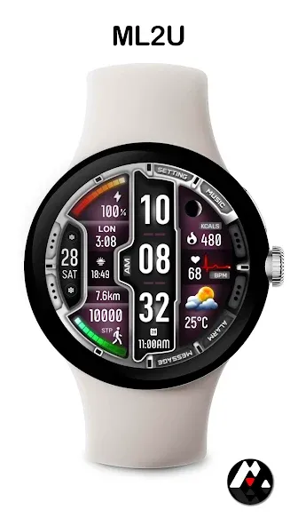 ML2U 273 Watch Face screenshot 5