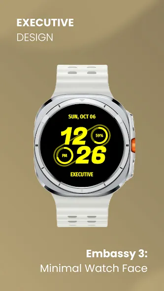 Embassy 3: Minimal Watch Face screenshot 3