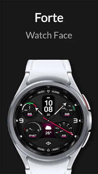 Forte: Hybrid Watch Face screenshot 2