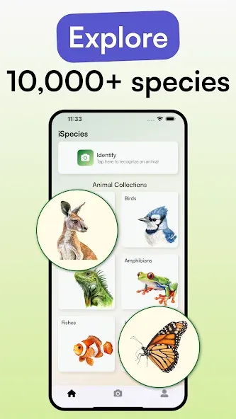 Animal Identifier - iSpecies screenshot 3