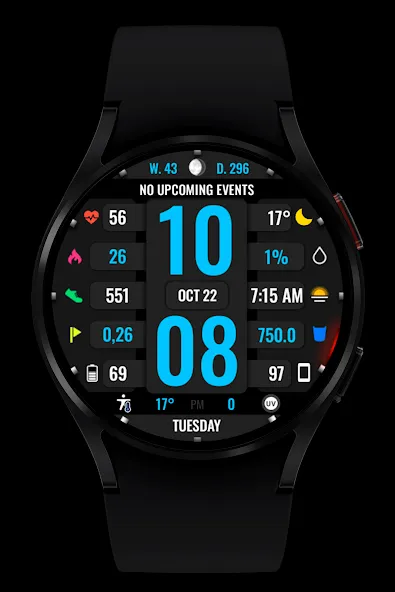 WR 017 Digital Watch Face screenshot 2