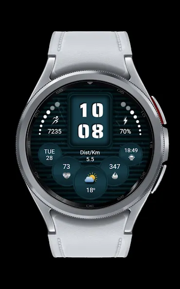 CNRwatch055 screenshot 5