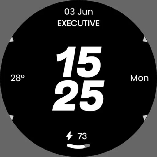 Embassy 2: Minimal Watch Face screenshot 26