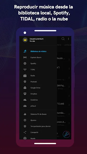 Boom: Bass Booster & Equalizer screenshot 2