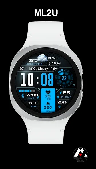 ML2U 134b Digital Hybrid screenshot 6