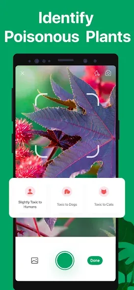 PictureThis - Plant Identifier screenshot 6