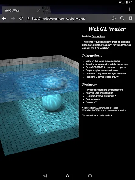 Android System WebView Canary screenshot 11