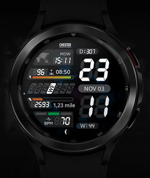 Chester LCD2 watch face screenshot 6